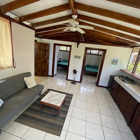 Perla Negra Beachfront Puerto Viejo de Talamanca Zewnętrze zdjęcie