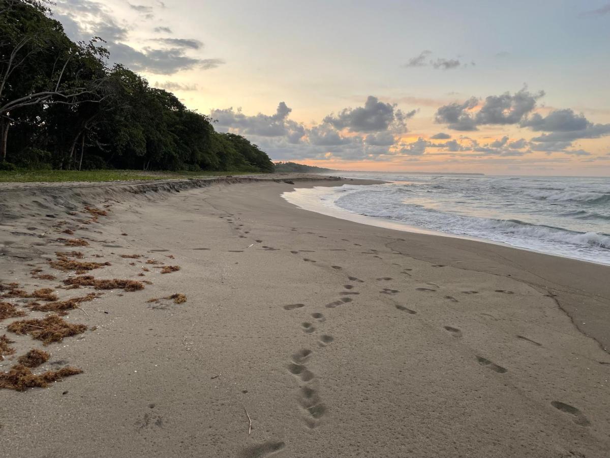 Perla Negra Beachfront Puerto Viejo de Talamanca Zewnętrze zdjęcie