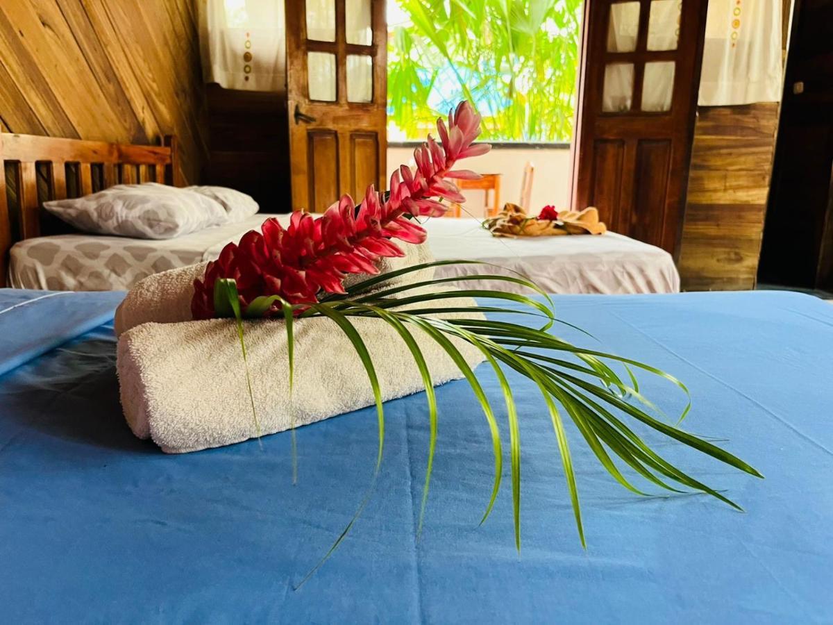 Perla Negra Beachfront Puerto Viejo de Talamanca Zewnętrze zdjęcie