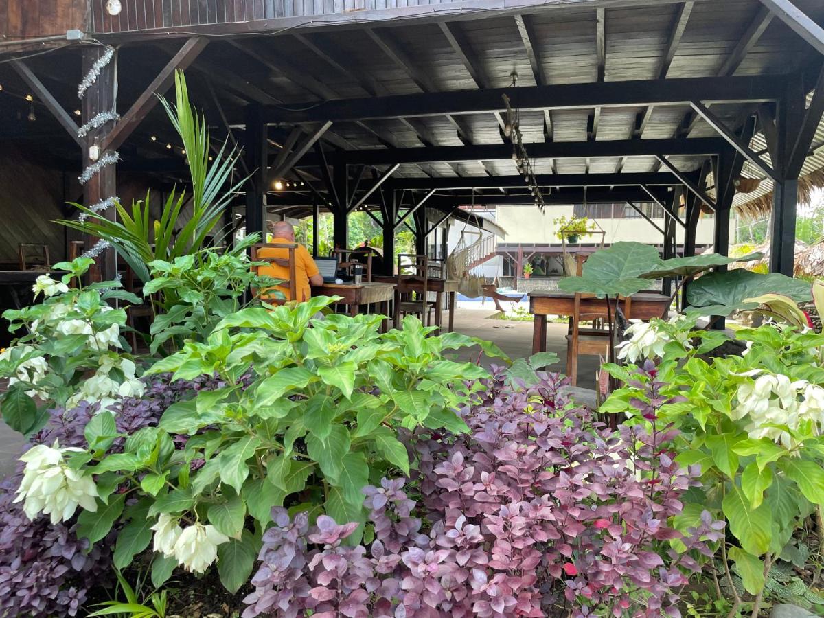 Perla Negra Beachfront Puerto Viejo de Talamanca Zewnętrze zdjęcie