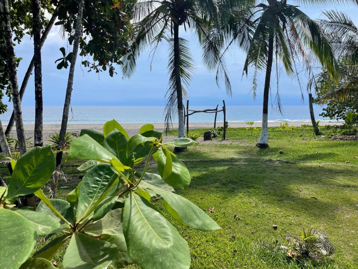 Perla Negra Beachfront Puerto Viejo de Talamanca Zewnętrze zdjęcie