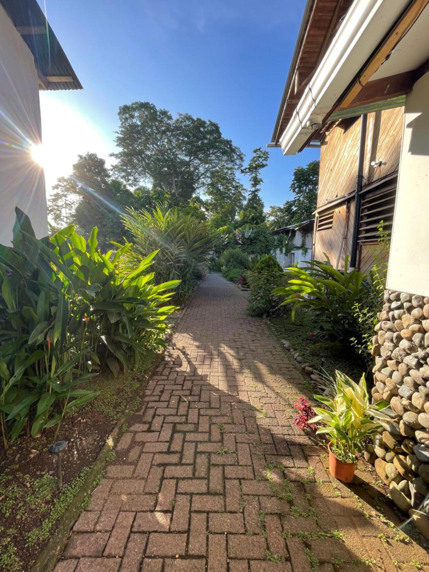 Perla Negra Beachfront Puerto Viejo de Talamanca Zewnętrze zdjęcie