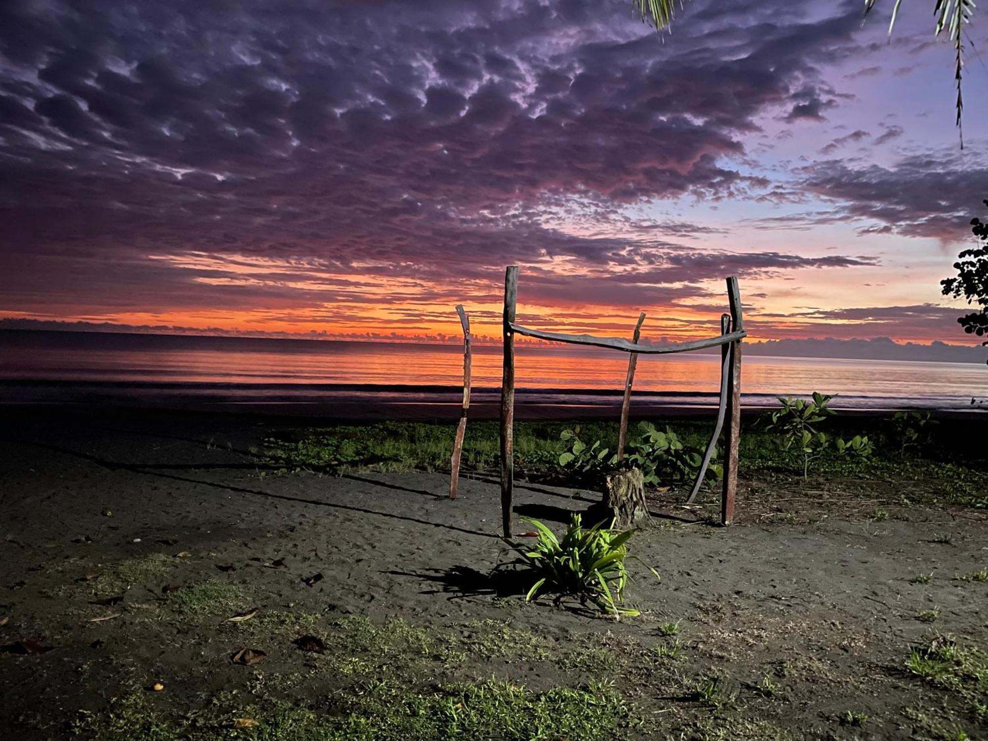 Perla Negra Beachfront Puerto Viejo de Talamanca Zewnętrze zdjęcie