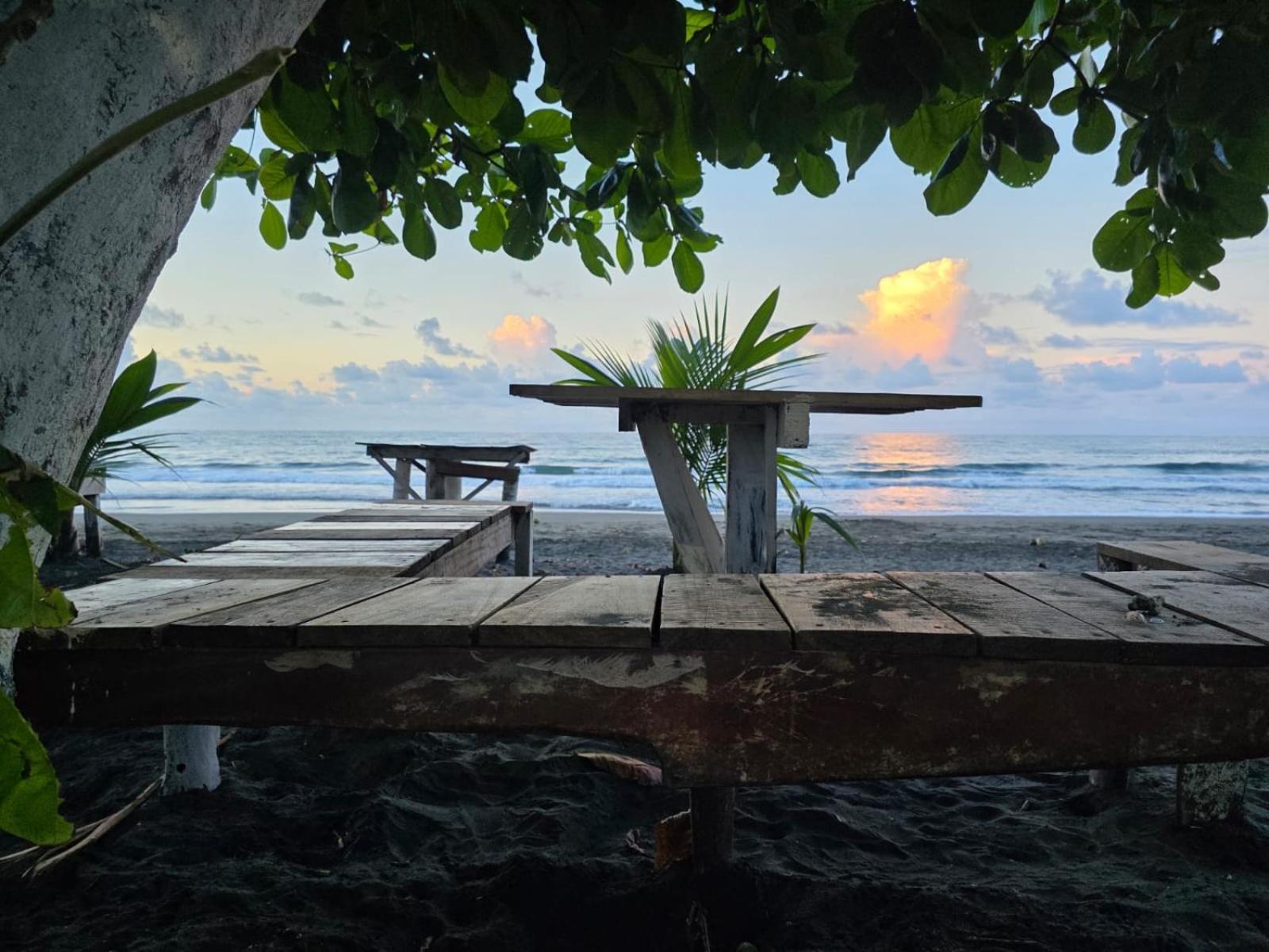 Perla Negra Beachfront Puerto Viejo de Talamanca Zewnętrze zdjęcie